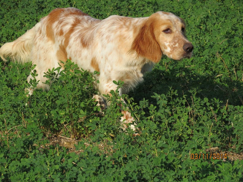 Jasmine Du Roc De La Capelle